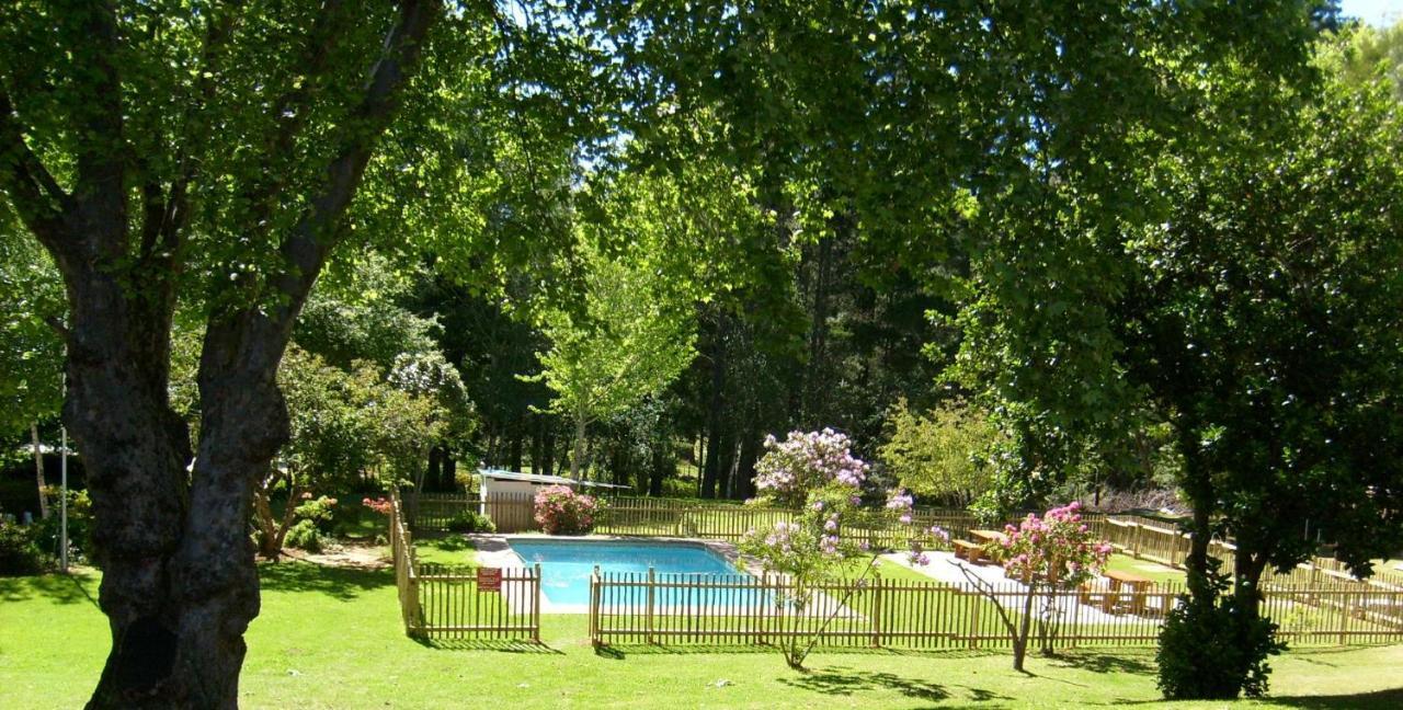 Kings Lodge Hotel Hogsback Exteriör bild