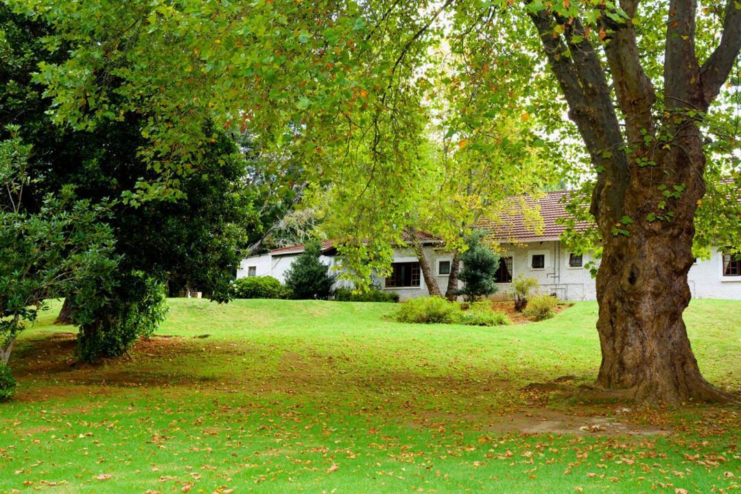 Kings Lodge Hotel Hogsback Exteriör bild