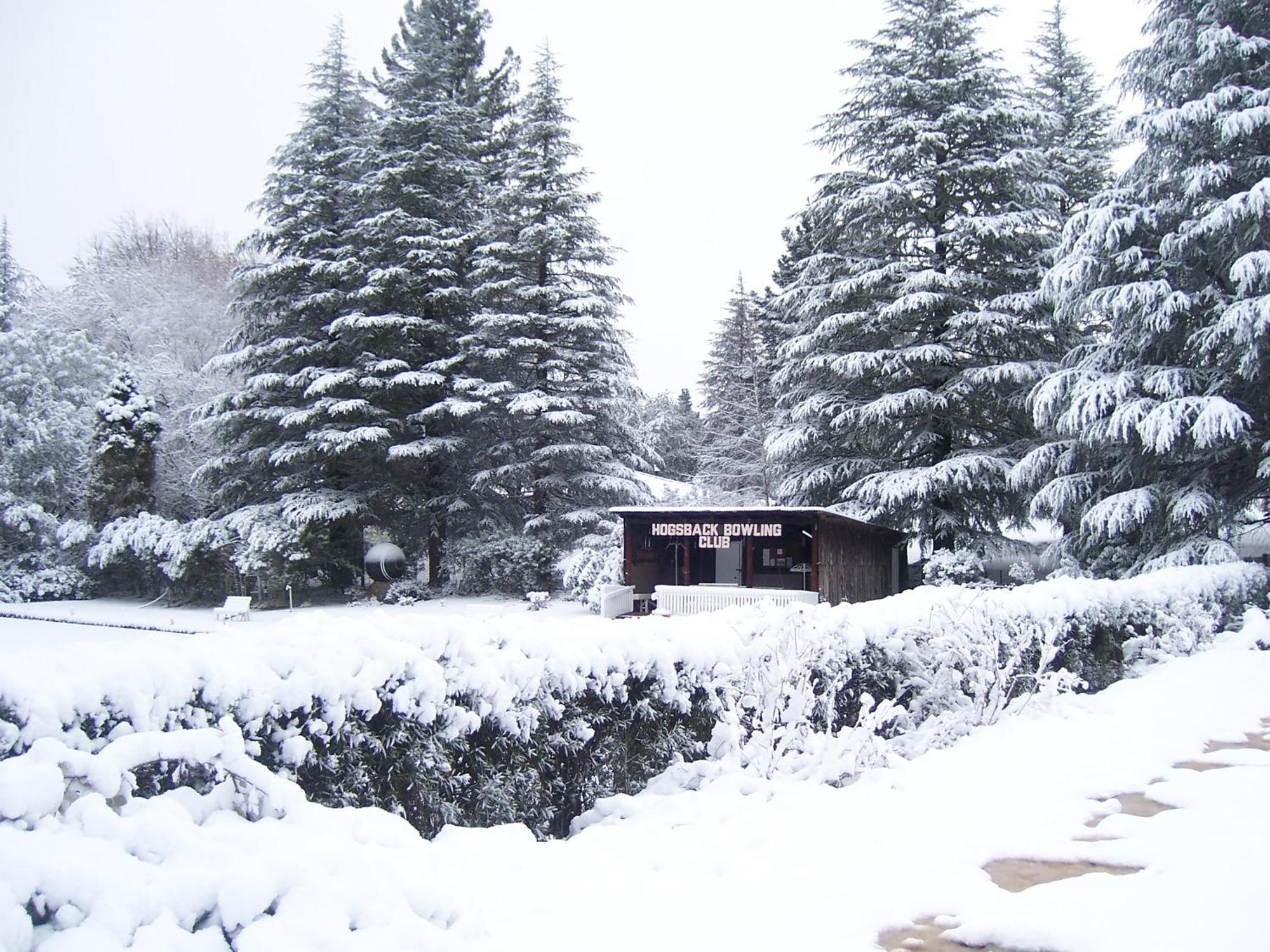 Kings Lodge Hotel Hogsback Exteriör bild