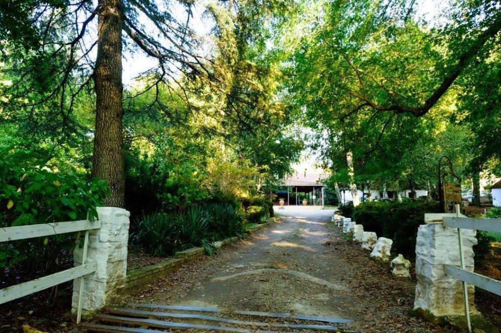 Kings Lodge Hotel Hogsback Exteriör bild