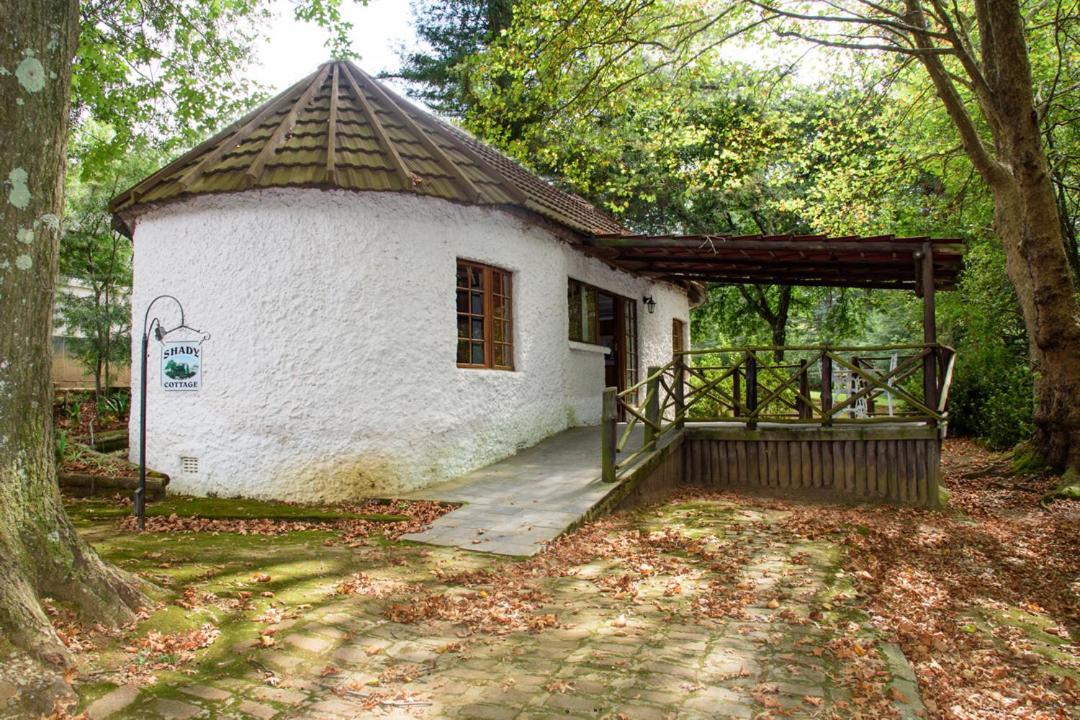 Kings Lodge Hotel Hogsback Exteriör bild