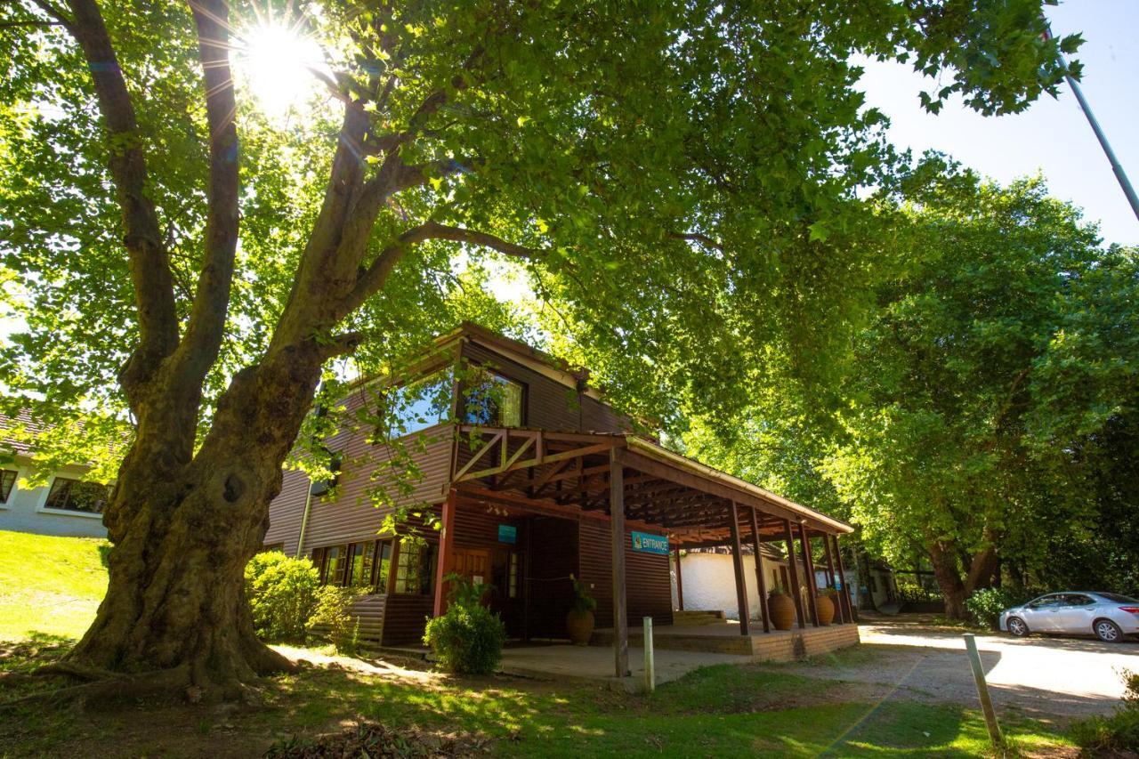 Kings Lodge Hotel Hogsback Exteriör bild
