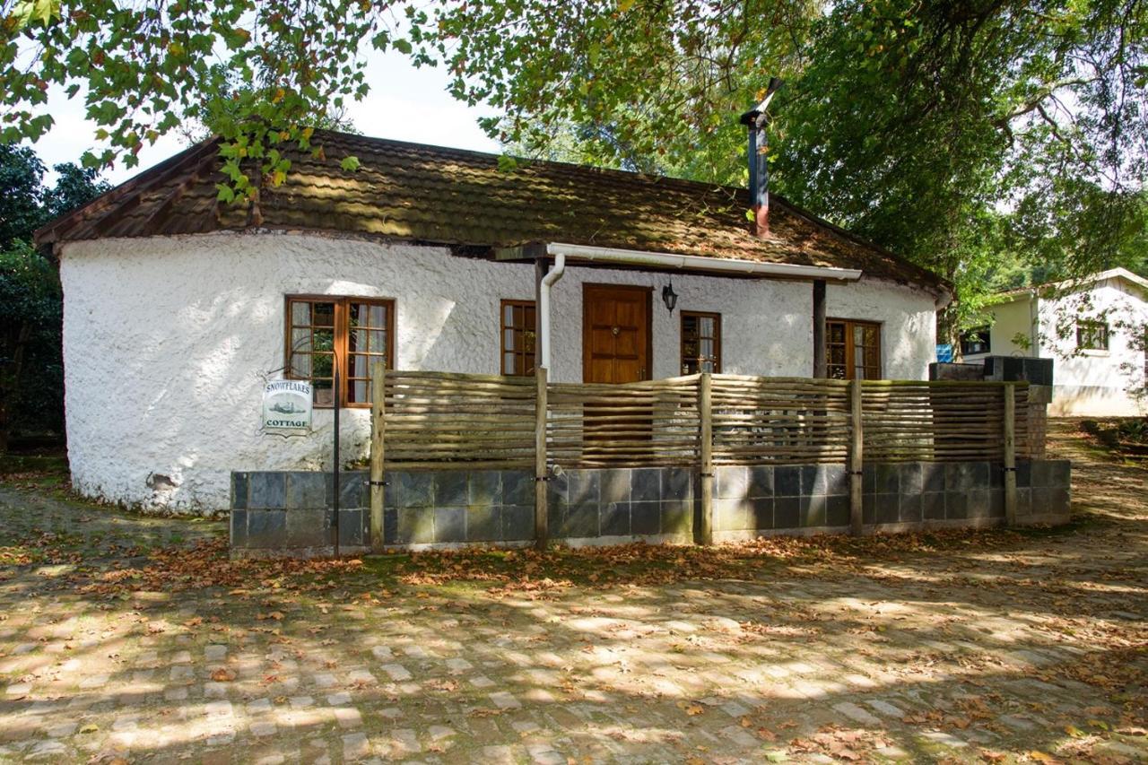 Kings Lodge Hotel Hogsback Exteriör bild