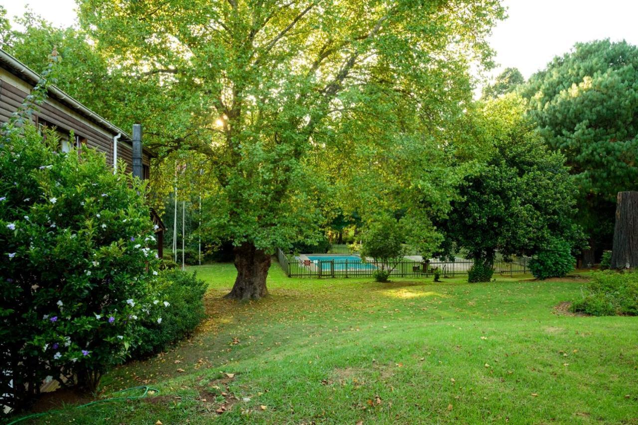 Kings Lodge Hotel Hogsback Exteriör bild